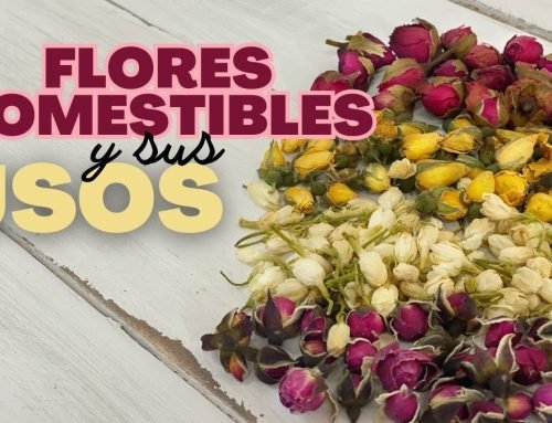 Flores comestibles y sus usos