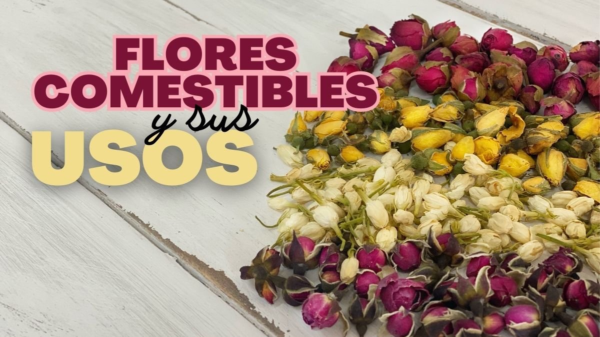 Flores comestibles y sus usos