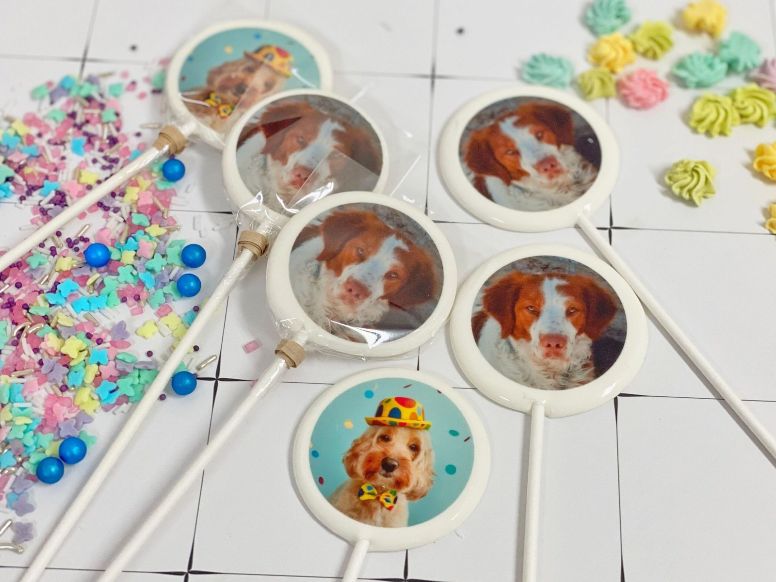 Fotos de mascotas piruletas caramelo duro hecho a mano personalizado sin azúcar