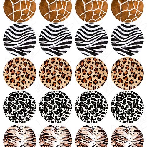 Impresiones animal print