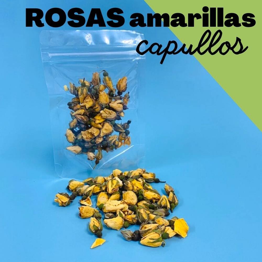 Capullo de rosa amarilla