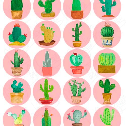 Cactus ilustración