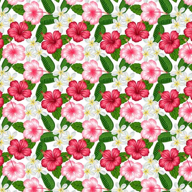 Impresión comestible Flores hibiscus