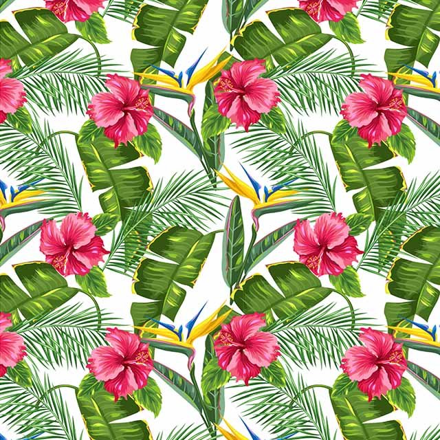 Impresión comestible Tropical