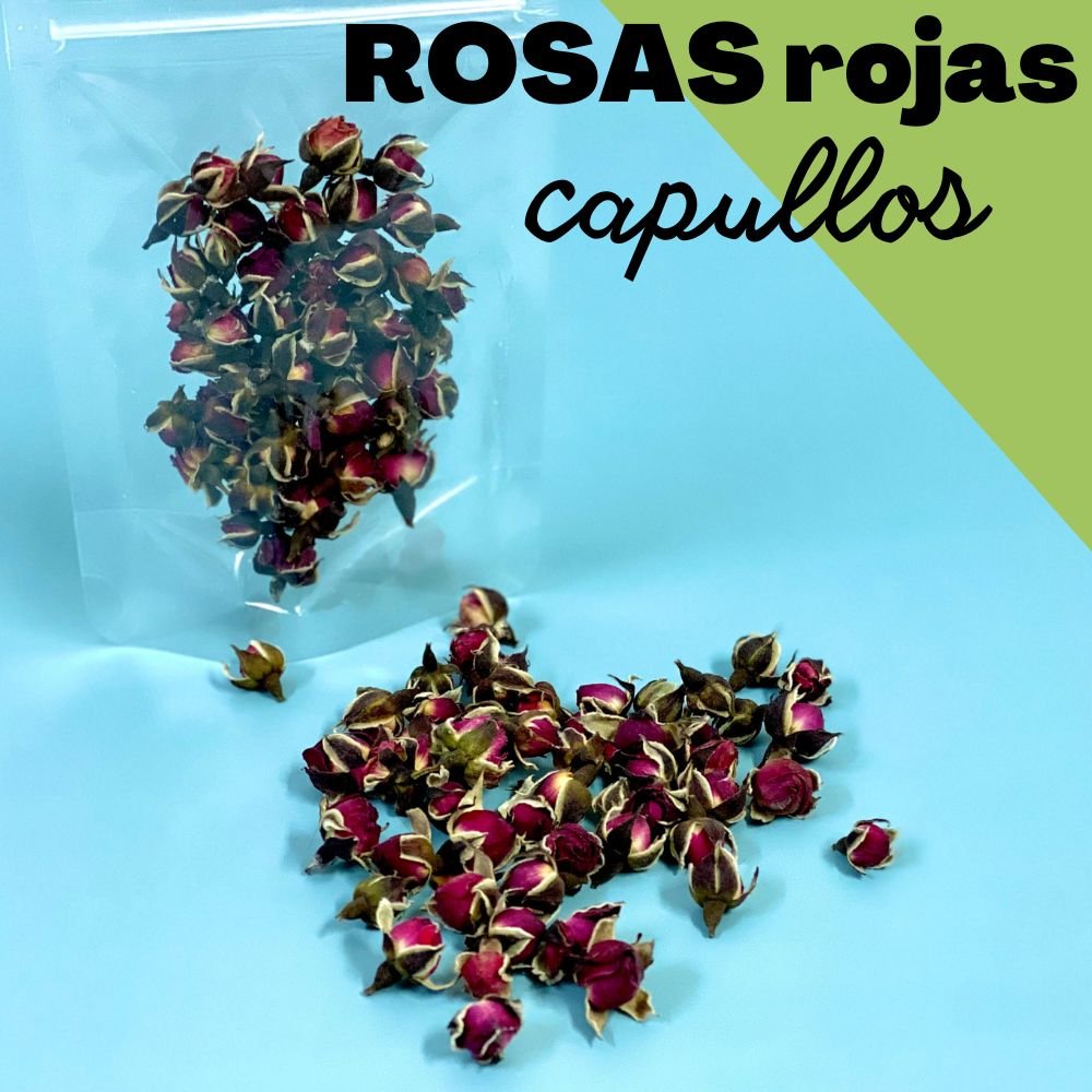 Capullo mini rosa roja